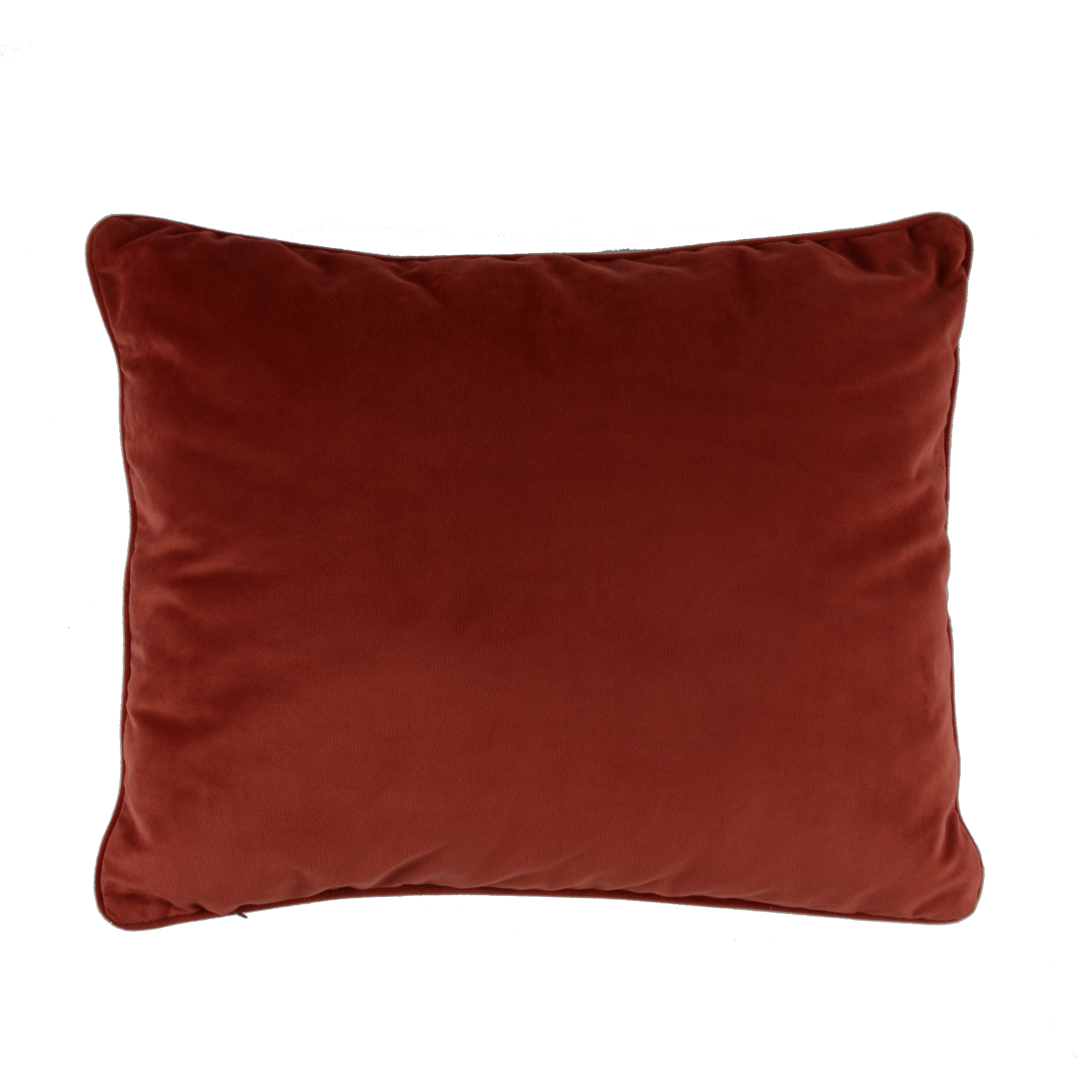 AMORA CUSHION