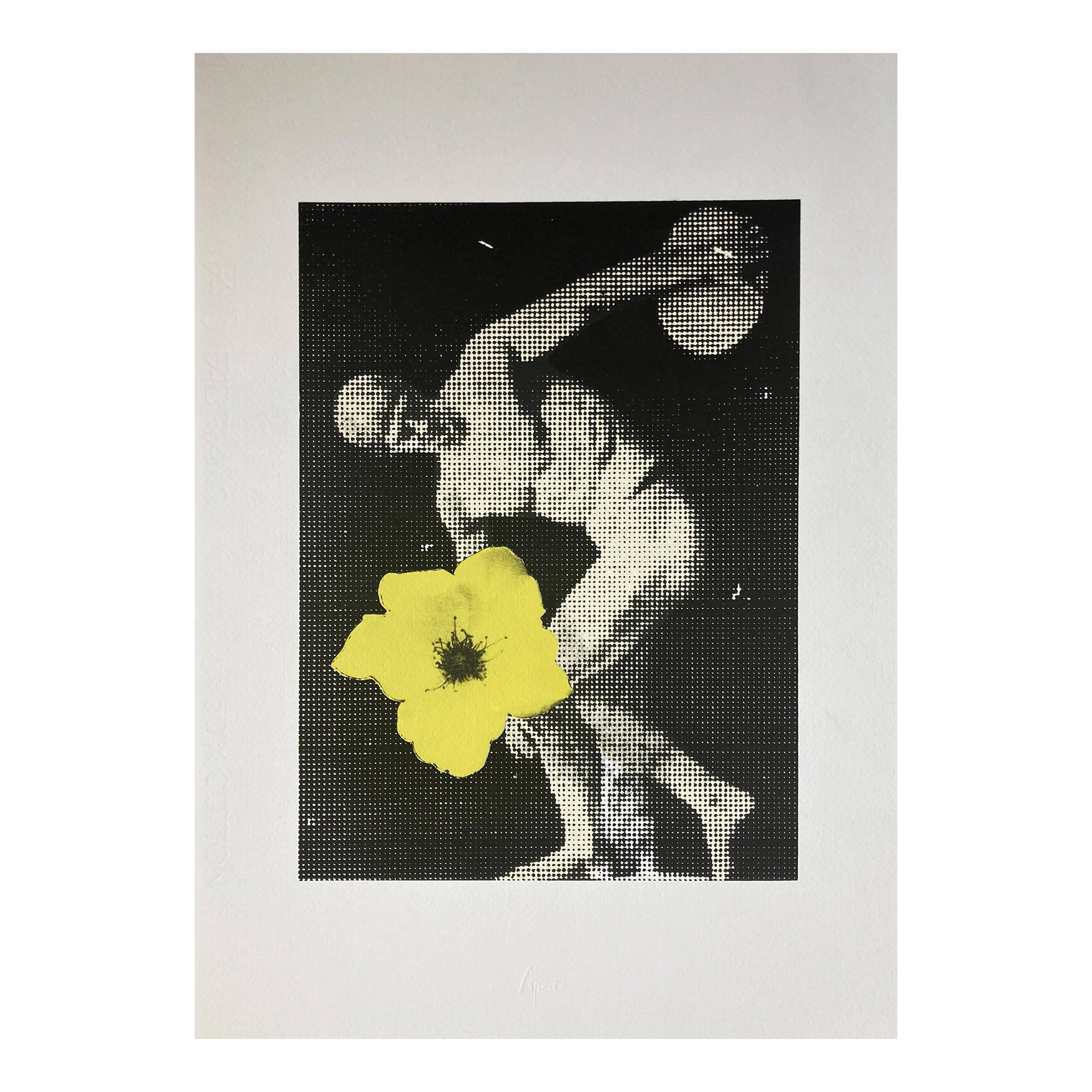 SERIGRAFIA FRAME