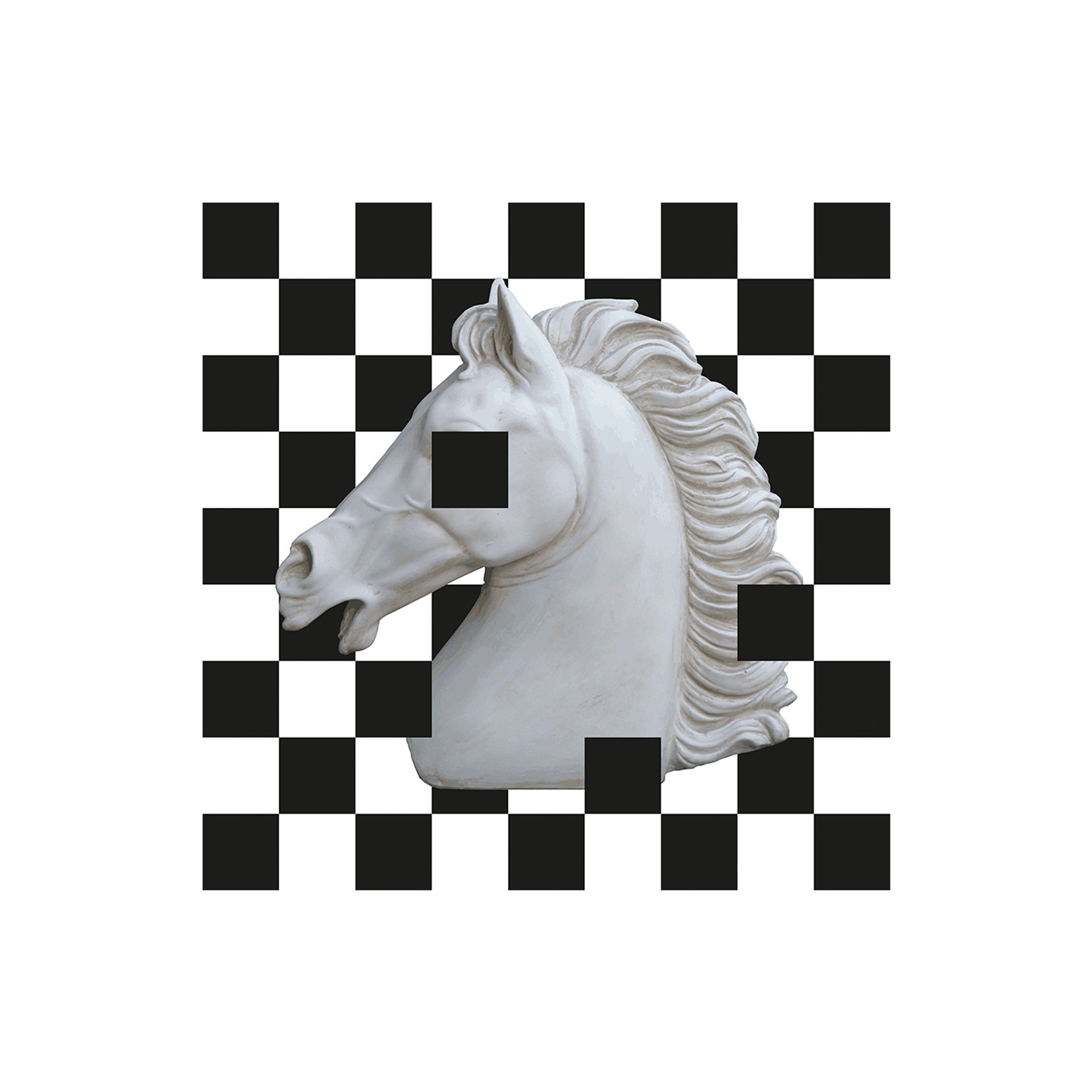 HORSE FRAME