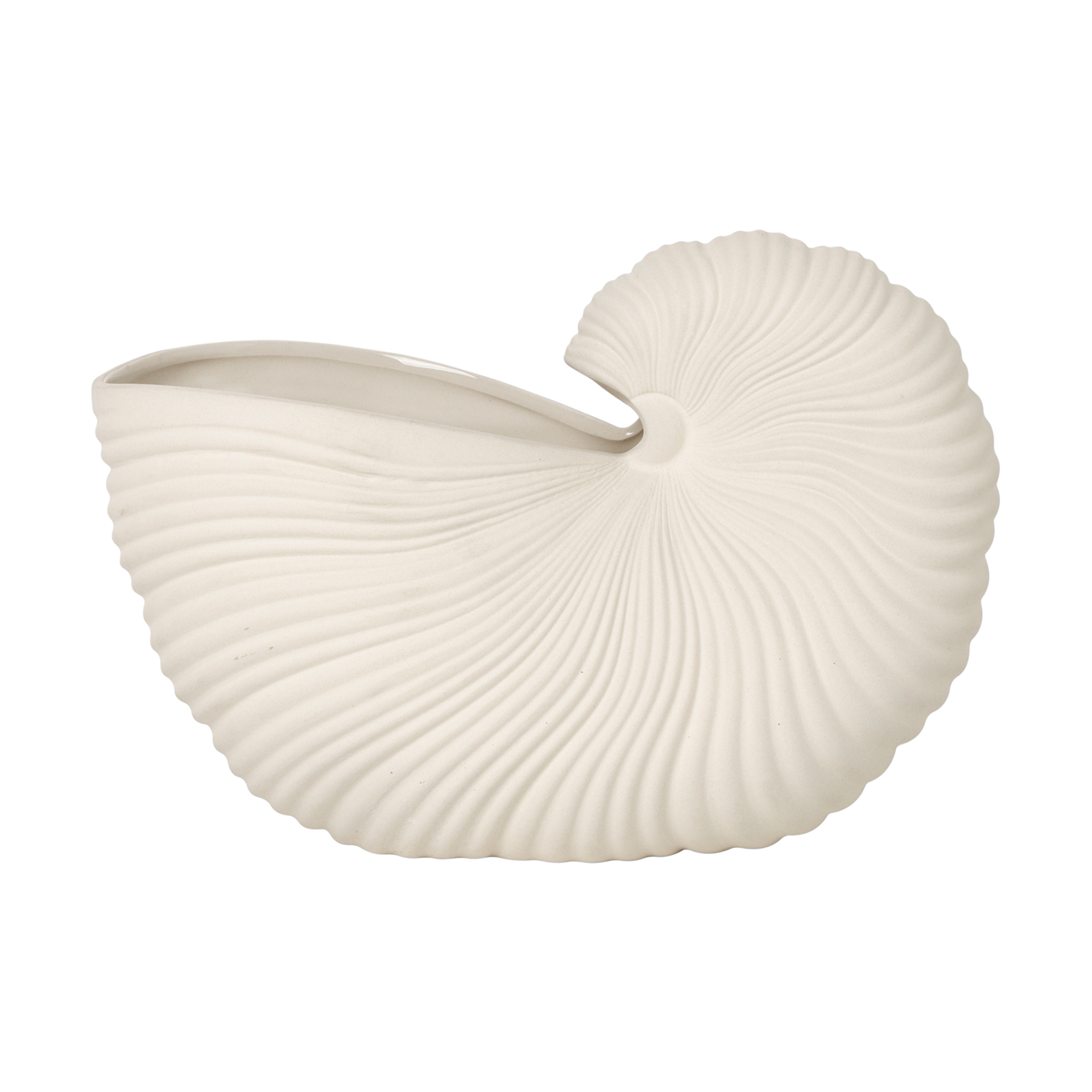 PIEZA DECORATIVA SHELL