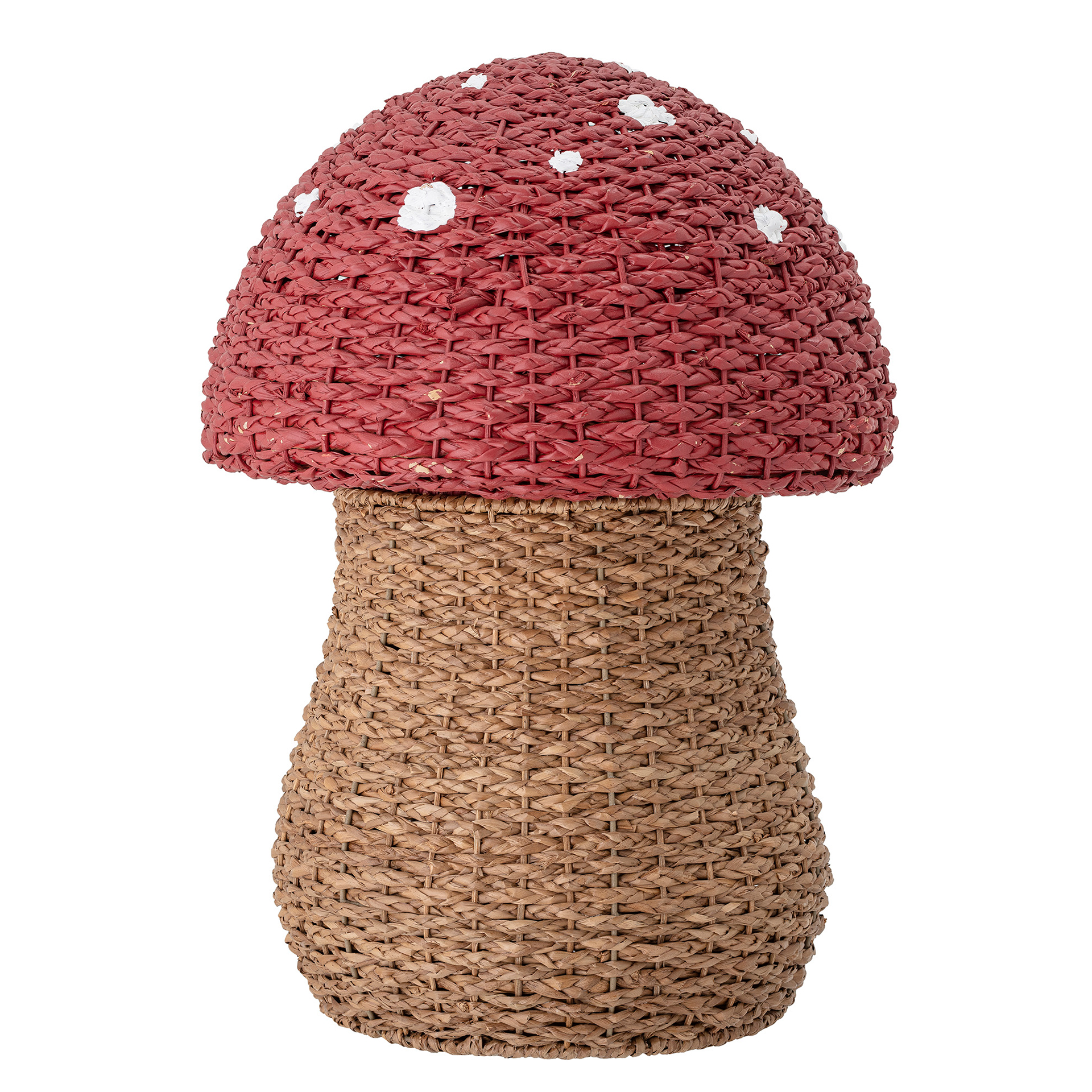 CESTA MUSHROOM