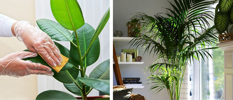 7 consejos para cambiar tu hogar con plantas artificiales