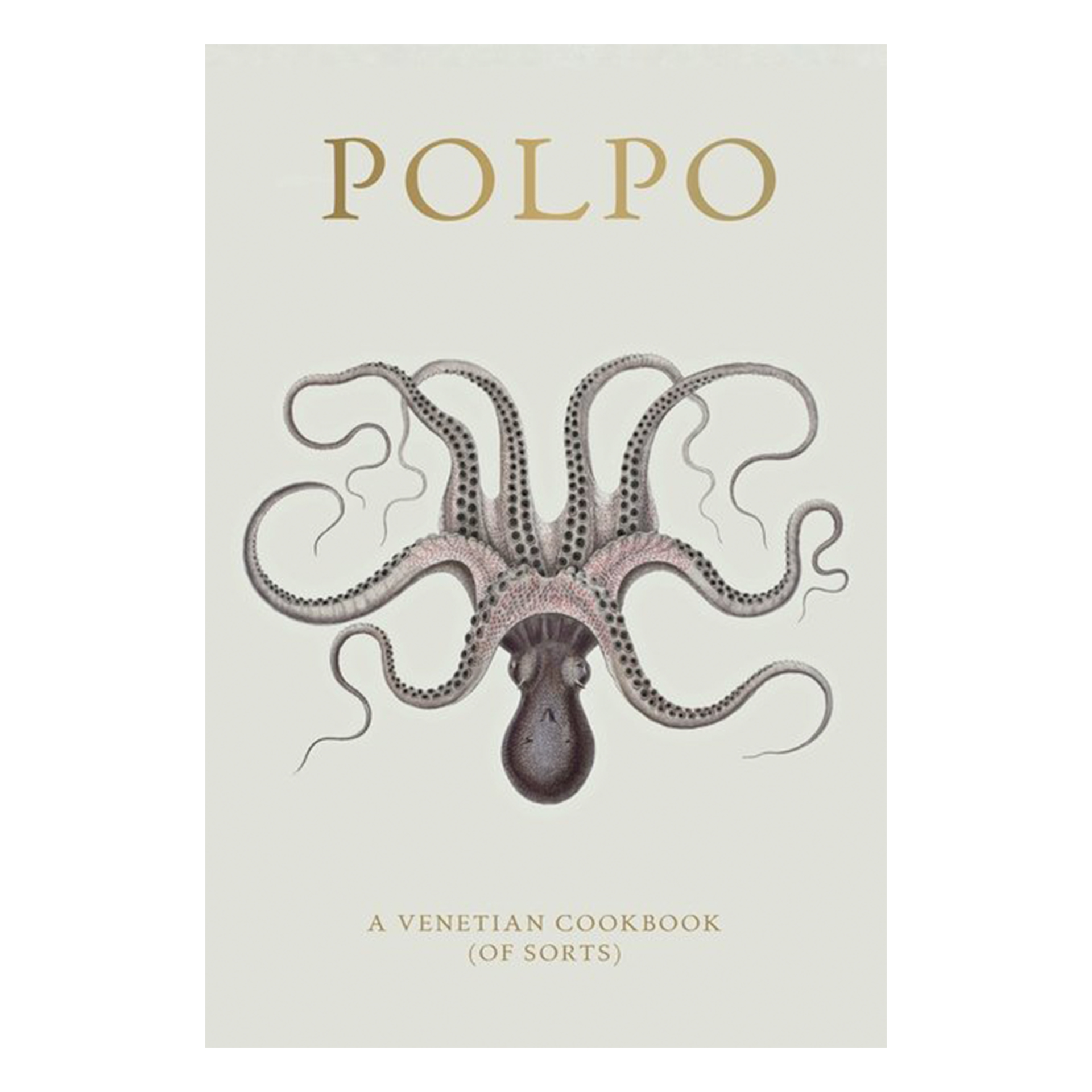 LIVRO POLPO